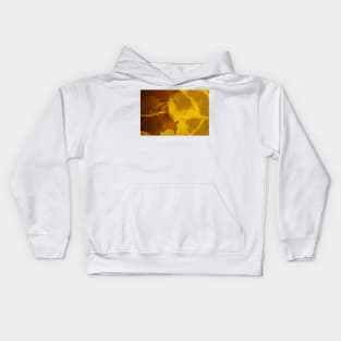 Diaphaneity Kids Hoodie